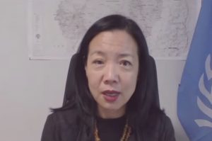 ممثلة الأمم المتحدة في السودان: الفاشر ودارفور تشهدان انتهاكات خطيرة لحقوق الإنسان