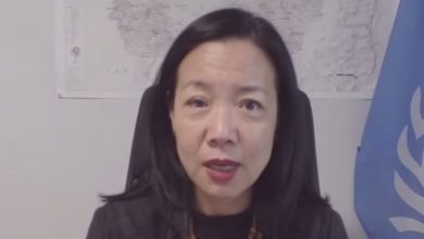 ممثلة الأمم المتحدة في السودان: الفاشر ودارفور تشهدان انتهاكات خطيرة لحقوق الإنسان