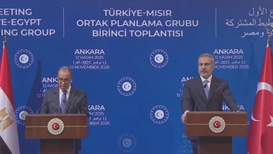 وزيرا خارجية مصر وتركيا يبحثان تعزيز الاستقرار في منطقة الشرق الأوسط