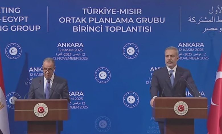 وزيرا خارجية مصر وتركيا يبحثان تعزيز الاستقرار في منطقة الشرق الأوسط