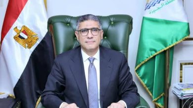 المهندس عادل النجار محافظ الجيزة