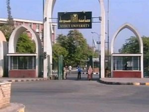 250 جنيه يوميًا.. رفع قيمة الأجر اليومي للعمالة اليومية على مستوى أقسام جامعة أسيوط