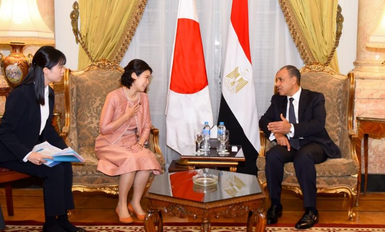 مصر واليابان تبحثان تعزيز التعاون في الطاقة المتجددة ونقل التكنولوجيا