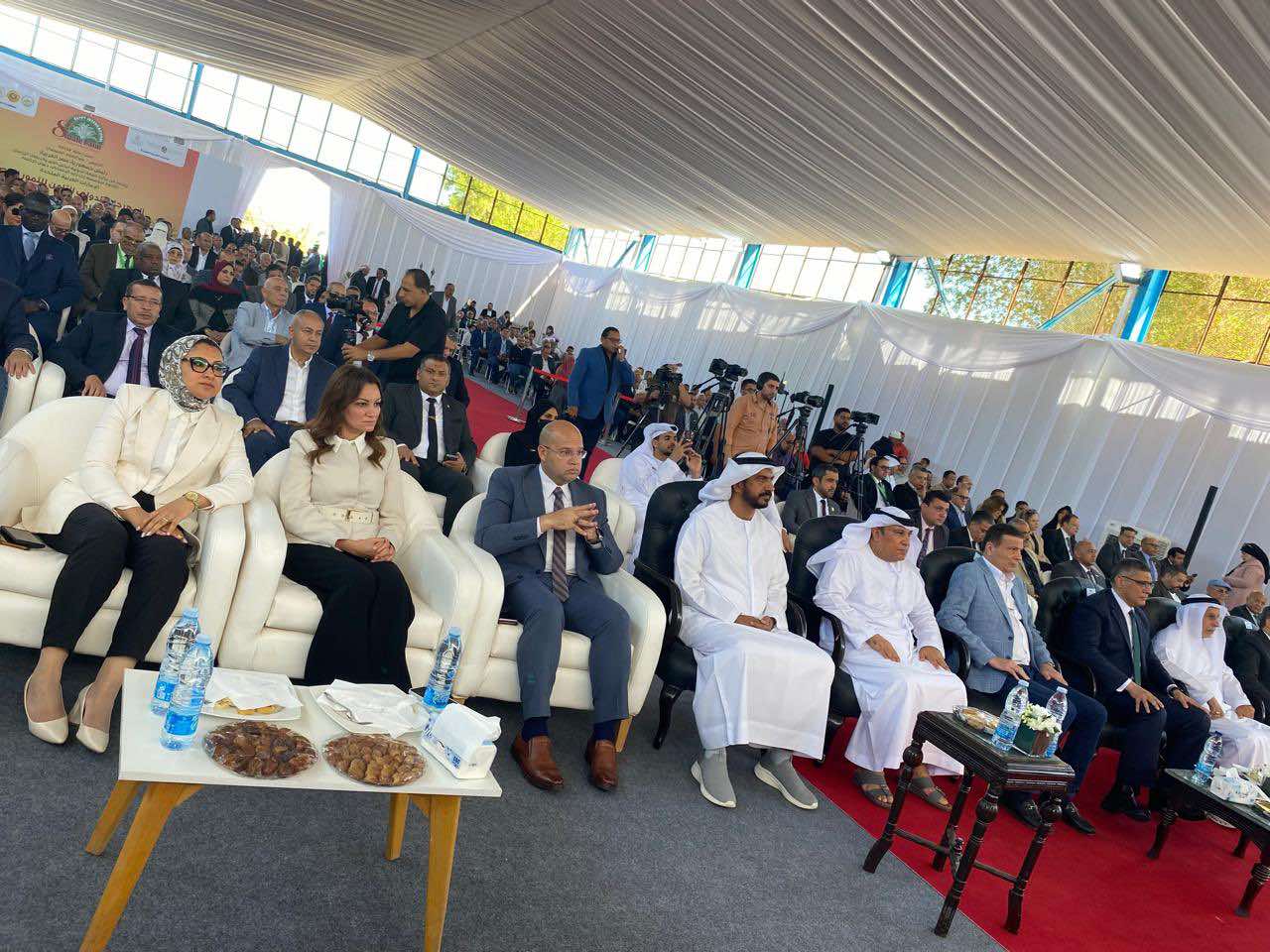 انطلاق مهرجان التمور الثامن بالواحات البحرية دعماً لتصدير «الذهب البني» المصري