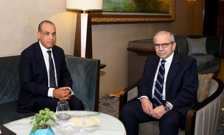 مصر تجدد دعمها الثابت لوحدة لبنان وسيادته الوطنية