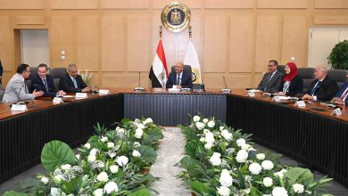 الفريق مهندس كامل الوزير