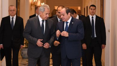 السيسي وأمين مجلس الأمن الروسي يبحثان الاستقرار في الشرق الأوسط وغزة