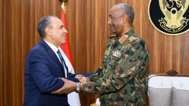 مصر تؤكد دعمها الكامل للسودان وتدين انتهاكات الفاشر