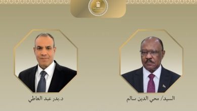 مصر تدعو لتوحيد الجهود الدولية والإقليمية لوقف إطلاق النار في السودان