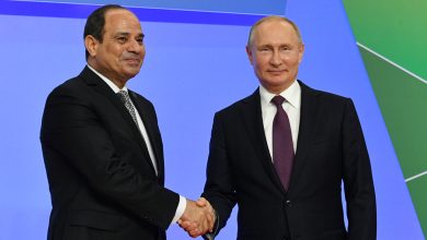 السيسي وبوتين يشهدان غدًا تركيب وعاء محطة الضبعة النووية