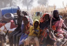 شبكة أطباء السودان تحذر من انهيار الوضع الإنساني في مخيمات غرب الفاشر