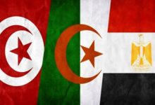 مصر والجزائر وتونس تؤكد التزامها بالحل السياسي في ليبيا ودعم وحدتها