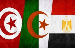 مصر والجزائر وتونس يؤكدون التزامهم بالحل السياسي في ليبيا ودعم وحدتها