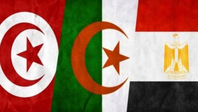 مصر والجزائر وتونس تؤكد التزامها بالحل السياسي في ليبيا ودعم وحدتها