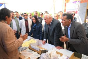 وزيرة التضامن تتفقد وحدة إنتاج الحرير بالوادي الجديد