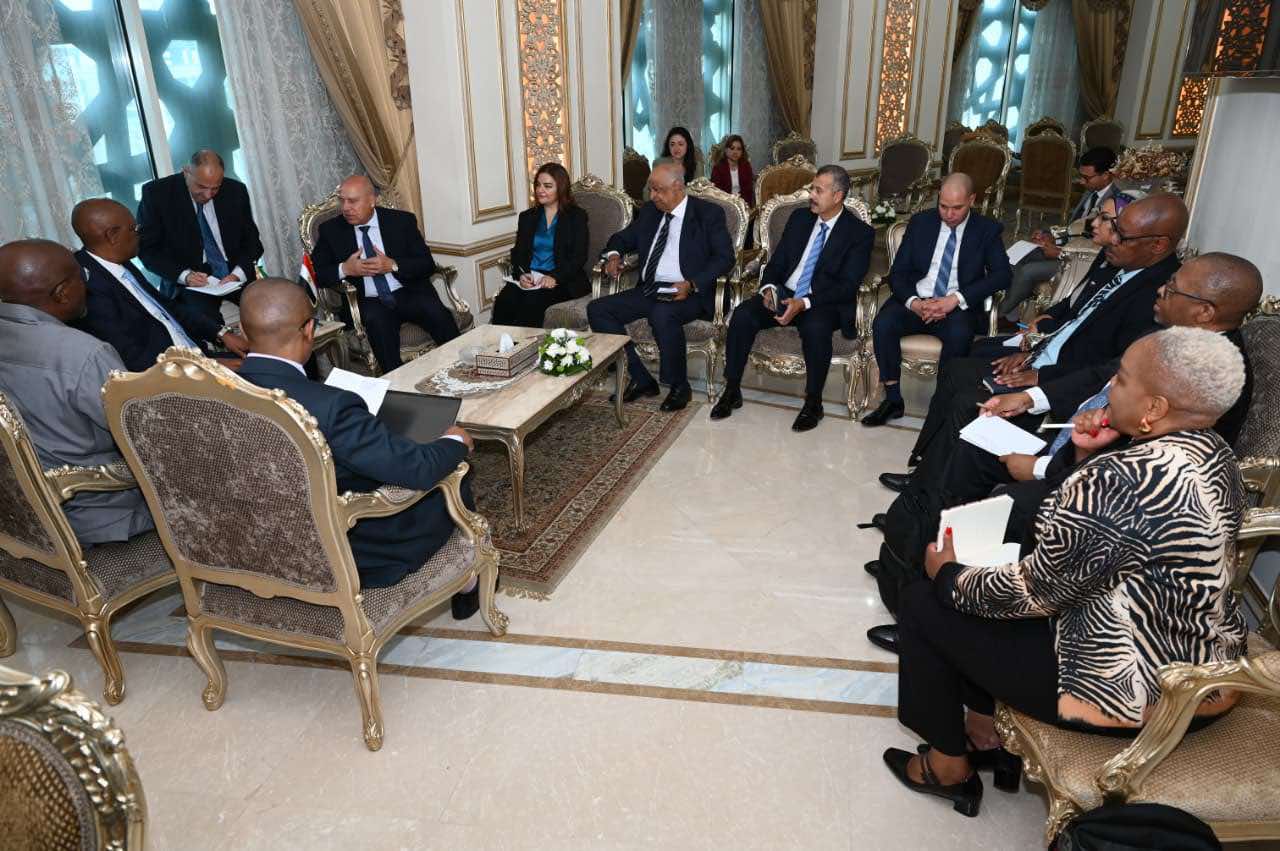 مصر وجنوب أفريقيا تبحثان إقامة مناطق لوجستية وتعاون صناعي في صناعة السيارات والحديد