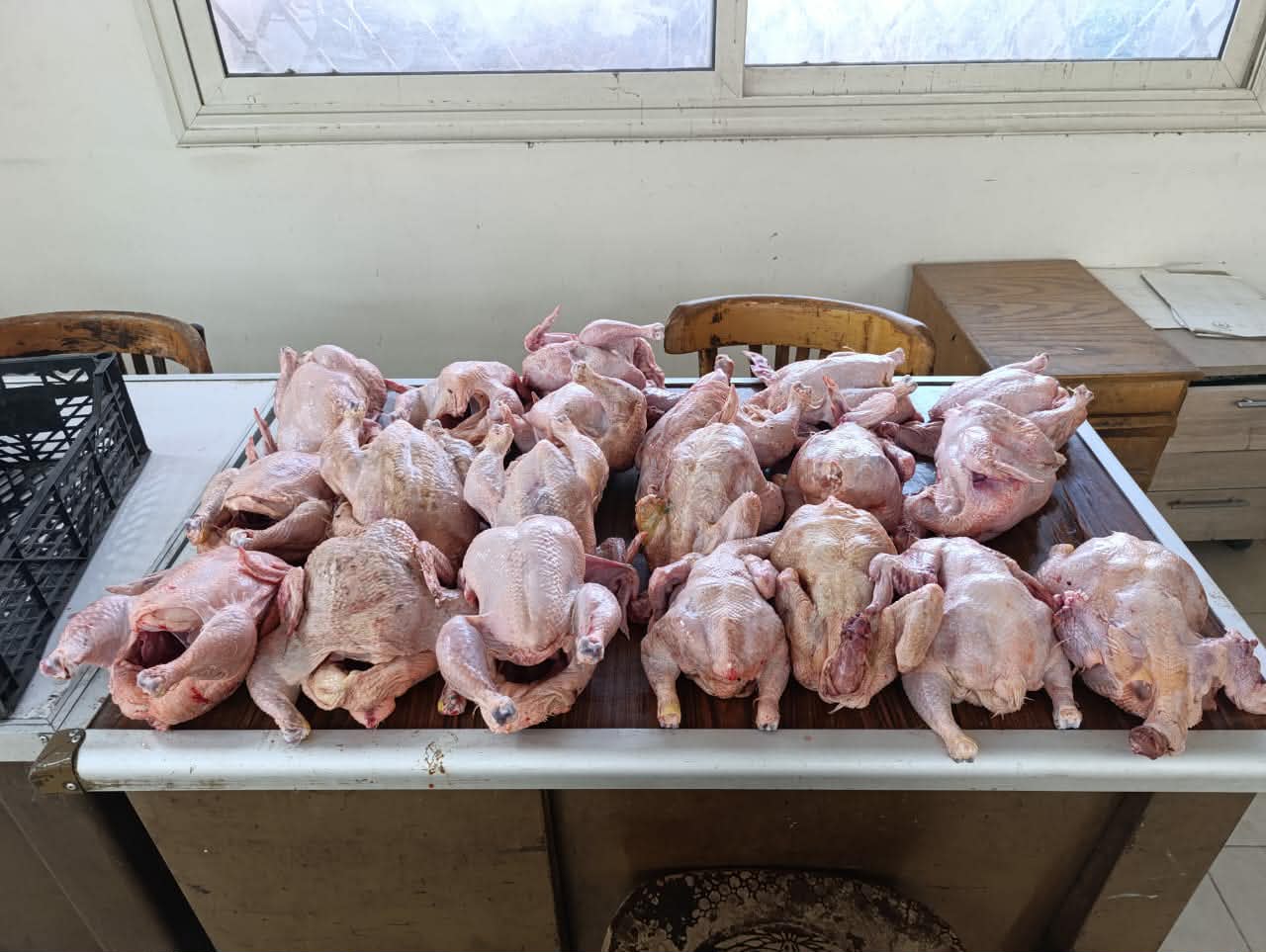 ضبط 656 بطاقة تموينية وتحرير 285  محضر  بأسيوط