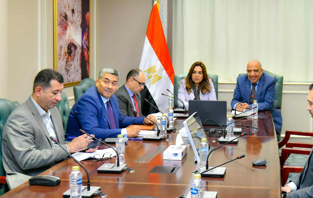 وزيرا الكهرباء والتنمية المحلية يبحثان العمل المشترك في قضايا البيئة والطاقات الجديدة والمتجددة