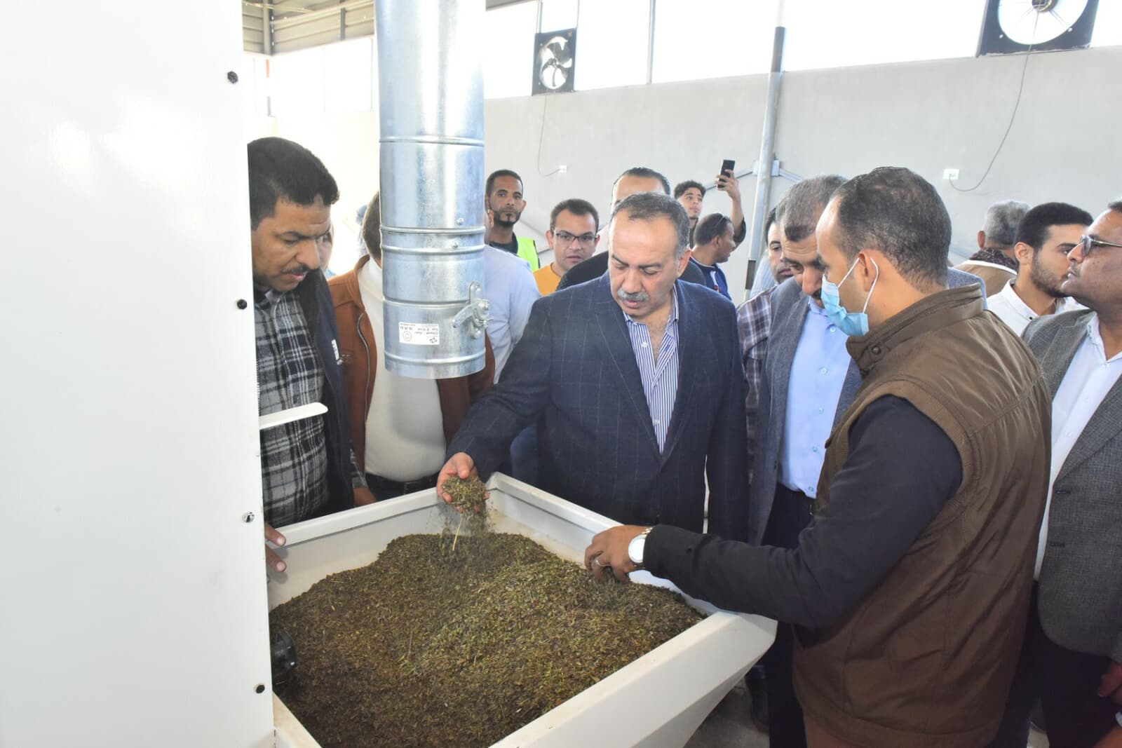 لدعم التصدير وتعزيز الاقتصاد.. تجهيز النباتات العطرية والطبية بأبنوب في أسيوط