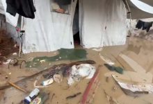 حماس: غزة تواجه كارثة إنسانية مع تفاقم البرد وغرق مراكز الإيواء