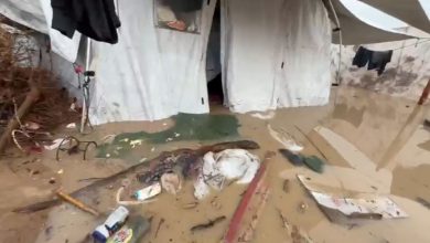 حماس: غزة تواجه كارثة إنسانية مع تفاقم البرد وغرق مراكز الإيواء