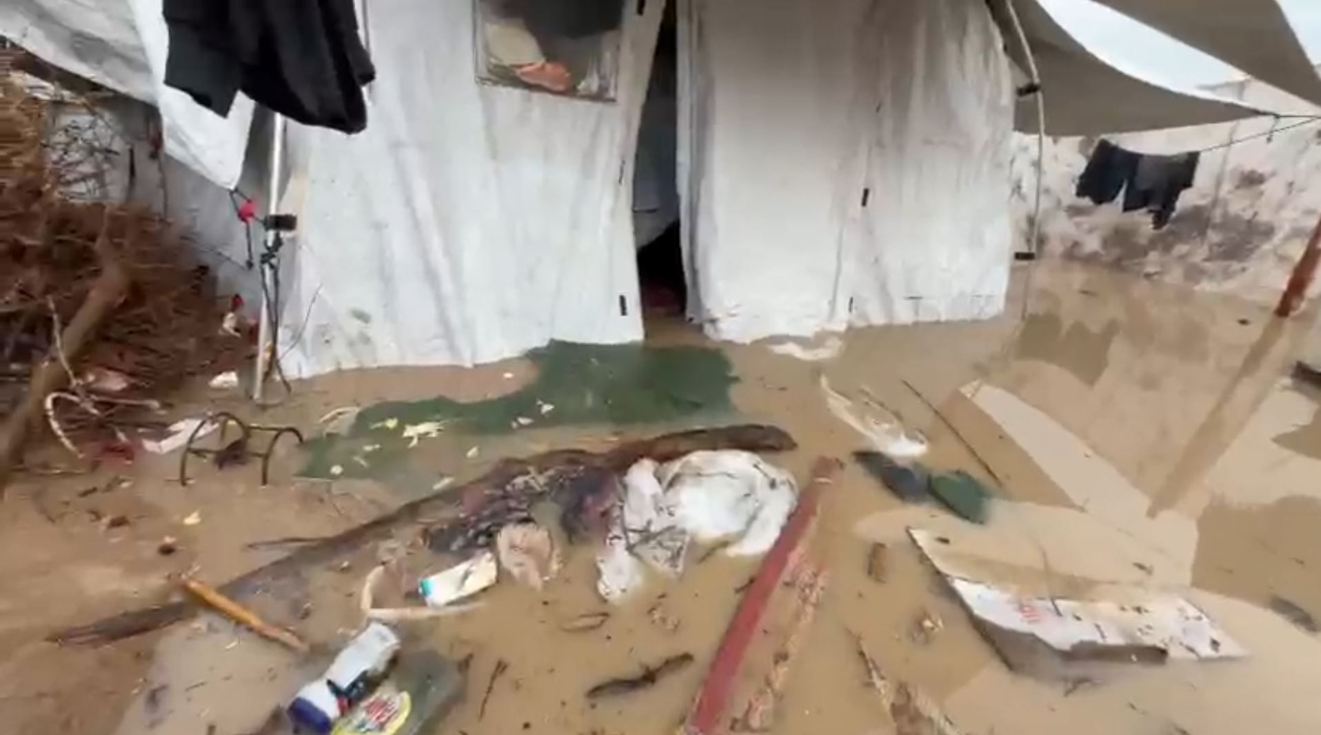 حماس: غزة تواجه كارثة إنسانية مع تفاقم البرد وغرق مراكز الإيواء