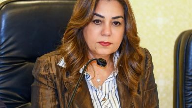 التنمية المحلية