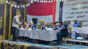 إمبابة تعيد رسم المشهد الانتخابي بعد الإعادة.. خسارة الخولي وصعود مفاجئ لنشوى الديب