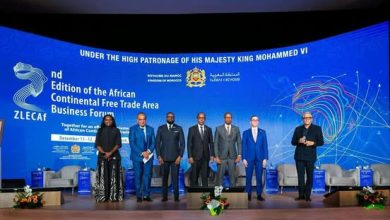 وزير الاستثمار