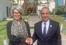 عبد العاطي يبحث مع مبعوثة الاتحاد الأوروبي دعم الاستقرار في القرن الأفريقي