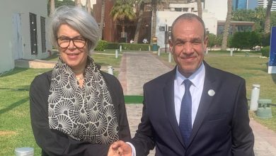 عبد العاطي يبحث مع مبعوثة الاتحاد الأوروبي دعم الاستقرار في القرن الأفريقي