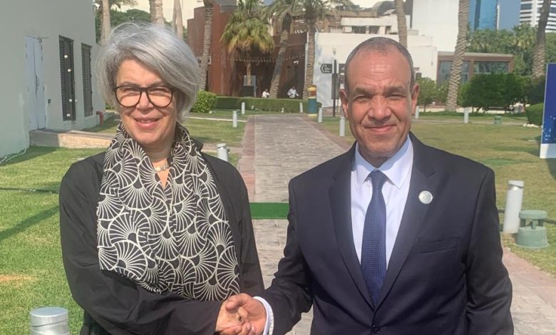 عبد العاطي يبحث مع مبعوثة الاتحاد الأوروبي دعم الاستقرار في القرن الأفريقي