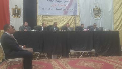 انتخابات مجلس النواب 2025 بأسيوط