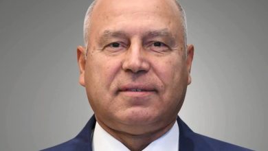 كامل الوزير