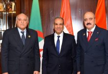 مصر والجزائر وتونس تتفق على مواصلة التنسيق لدعم استقرار ليبيا