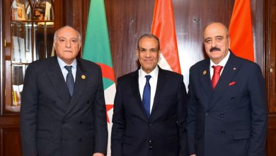 مصر والجزائر وتونس تتفق على مواصلة التنسيق لدعم استقرار ليبيا