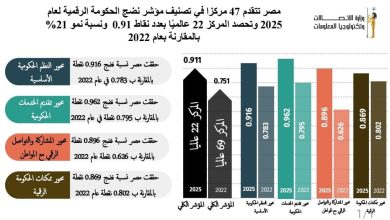 مصر تقفز 47 مركزًا بمؤشر نضج الحكومة الرقمية 2025