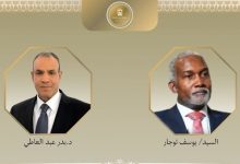 مصر ونيجيريا تؤكدان رفض الاعتراف الإسرائيلي بـ«أرض الصومال»