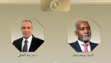 مصر ونيجيريا تؤكدان رفض الاعتراف الإسرائيلي بـ«أرض الصومال»