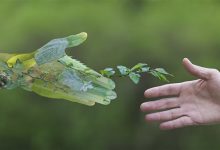 مبادلة الديون