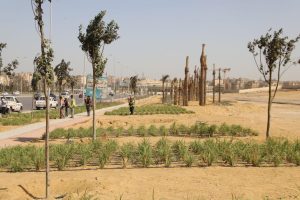 إنجازات ملموسة لمحافظة الجيزة  في 2025