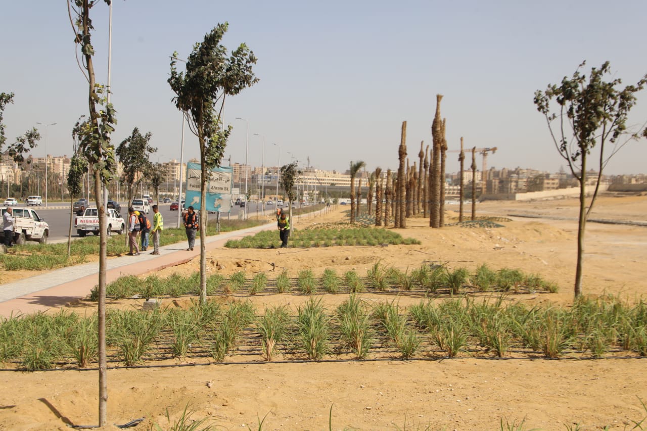 إنجازات ملموسة لمحافظة الجيزة  في 2025