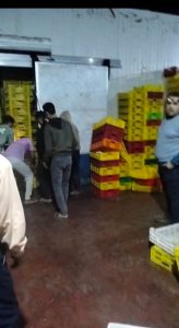 ضبط 30 طن كفتة منتهية الصلاحية قبل طرحها فى الأسواق