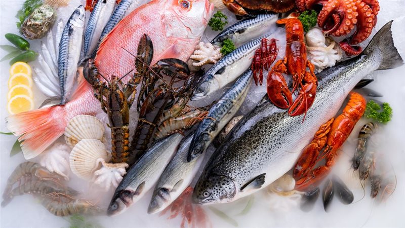 تراجع ملحوظ في أسعار الأسماك والمأكولات البحرية اليوم