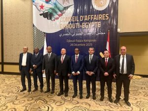 الوزير يستعرض فرص التعاون الصناعي والنقل بين مصر وجيبوتي