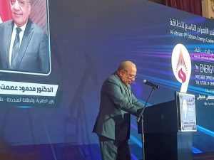 عصمت: الطاقة الكهربائية ركيزة أساسية للتنمية المستدامة