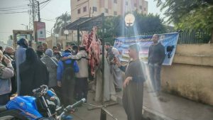 محافظ أسيوط: طرح لحوم بلدية طازجة بسعر 290 جنيهًا للكيلو بمركز ديروط