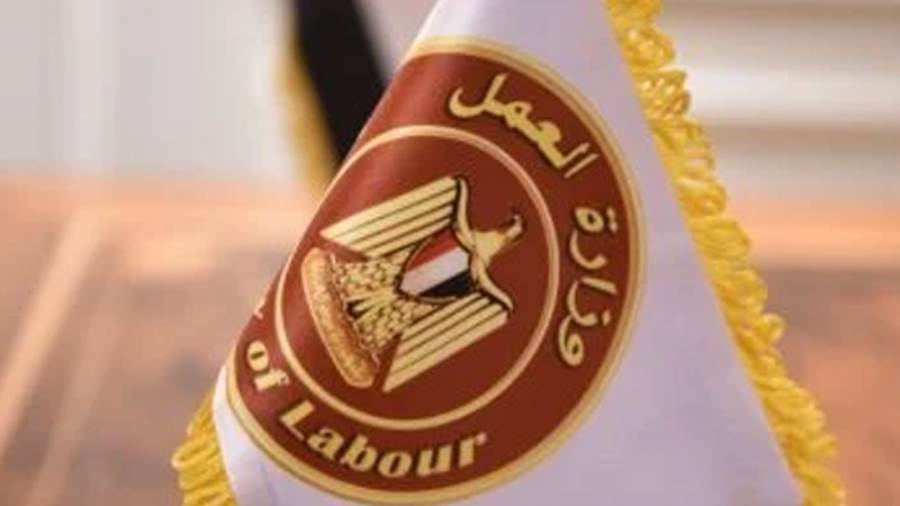وزارة العمل تعلن عن فرص عمل جديدة بالقطاع الخاص في الجيزة