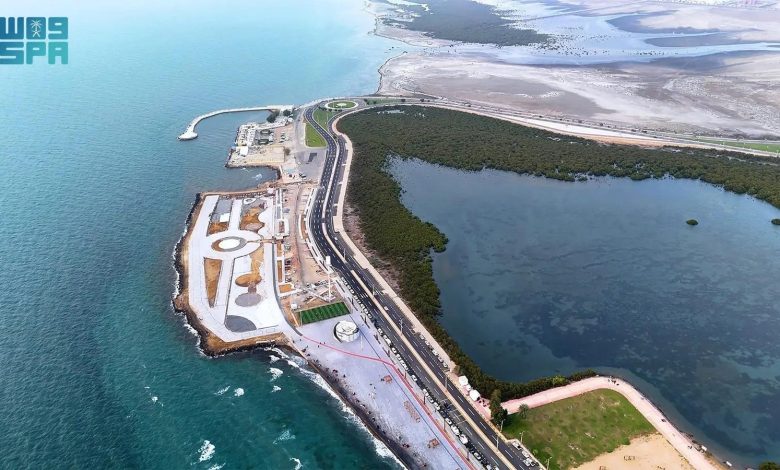 منطقة جازان الجنوبية