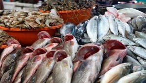 انخفاض سعر البلطي اليوم في الأسواق